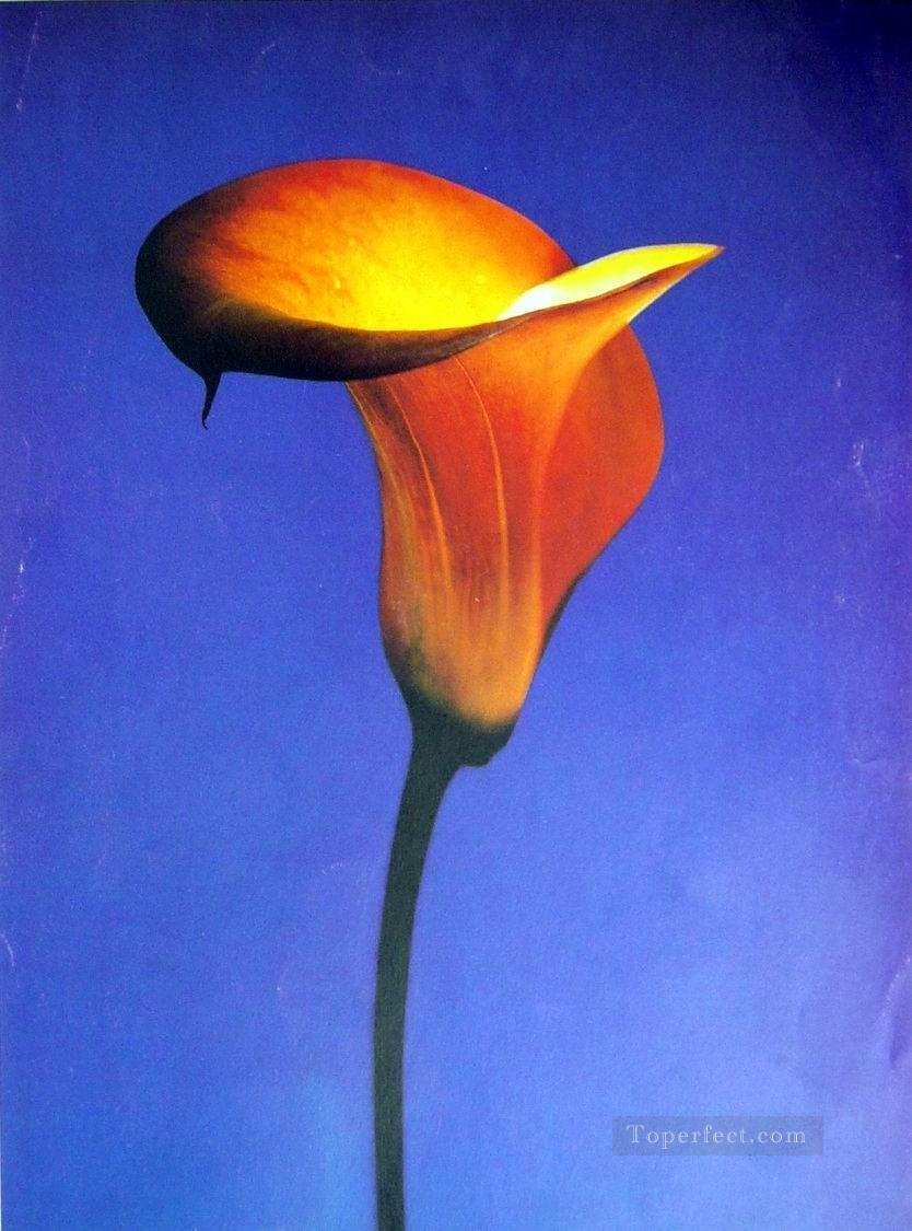 xsh0399b realistic from photos flowers Oil Paintings